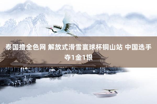 泰国撸全色网 解放式滑雪寰球杯铜山站 中国选手夺1金1银