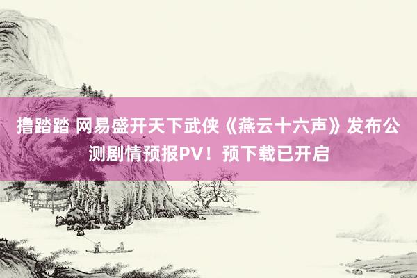撸踏踏 网易盛开天下武侠《燕云十六声》发布公测剧情预报PV！预下载已开启
