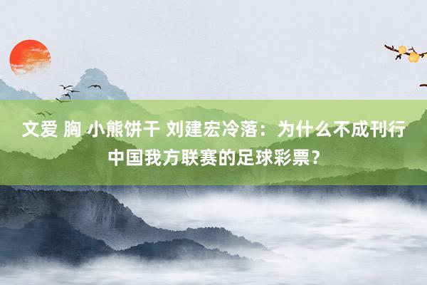 文爱 胸 小熊饼干 刘建宏冷落：为什么不成刊行中国我方联赛的足球彩票？
