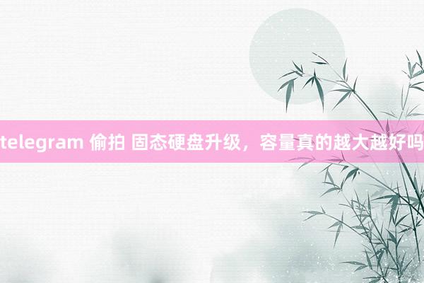 telegram 偷拍 固态硬盘升级，容量真的越大越好吗