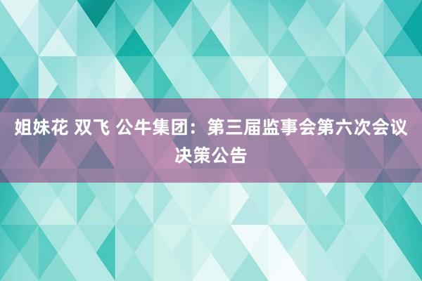 姐妹花 双飞 公牛集团：第三届监事会第六次会议决策公告