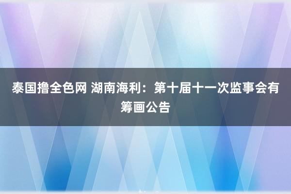 泰国撸全色网 湖南海利：第十届十一次监事会有筹画公告