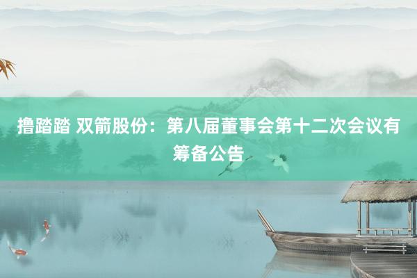 撸踏踏 双箭股份：第八届董事会第十二次会议有筹备公告