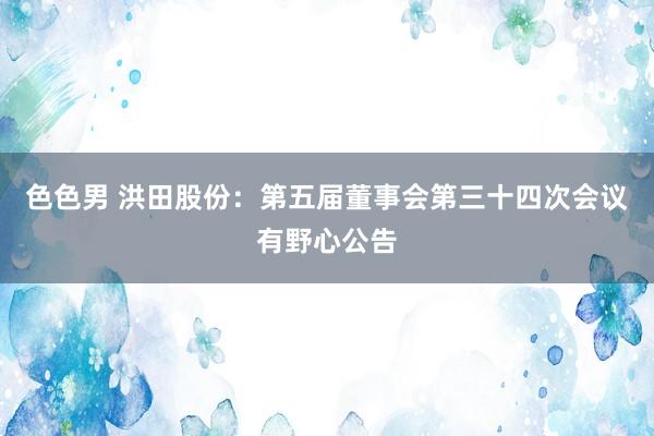 色色男 洪田股份：第五届董事会第三十四次会议有野心公告