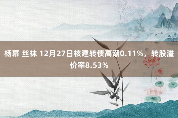 杨幂 丝袜 12月27日核建转债高潮0.11%，转股溢价率8.53%