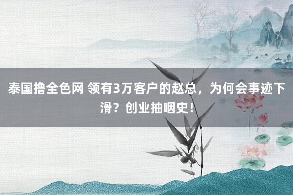 泰国撸全色网 领有3万客户的赵总，为何会事迹下滑？创业抽咽史！