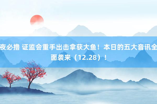 夜必撸 证监会重手出击拿获大鱼！本日的五大音讯全面袭来（12.28）！