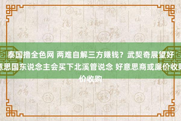 泰国撸全色网 两难自解三方赚钱？武契奇展望好意思国东说念主会买下北溪管说念 好意思商或廉价收购