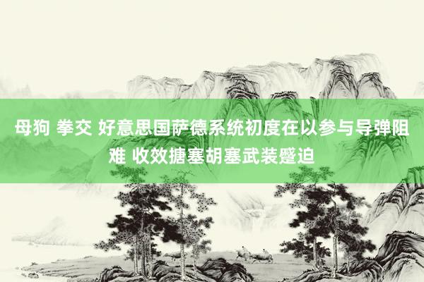 母狗 拳交 好意思国萨德系统初度在以参与导弹阻难 收效搪塞胡塞武装蹙迫