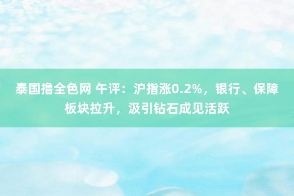 泰国撸全色网 午评：沪指涨0.2%，银行、保障板块拉升，汲引钻石成见活跃