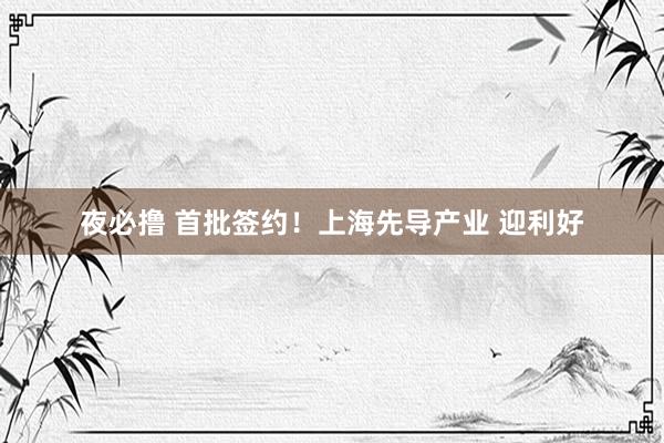 夜必撸 首批签约！上海先导产业 迎利好