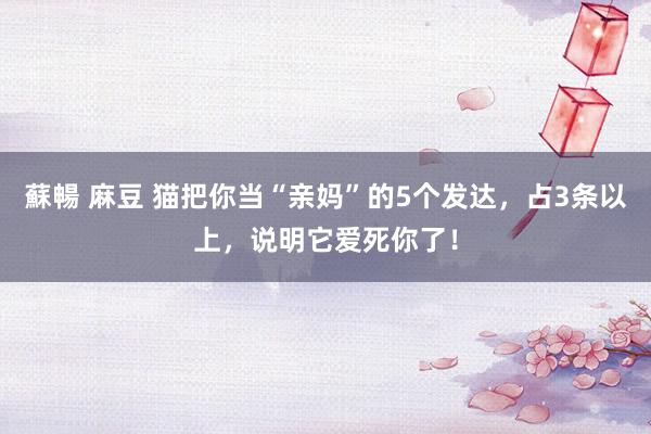 蘇暢 麻豆 猫把你当“亲妈”的5个发达，占3条以上，说明它爱死你了！