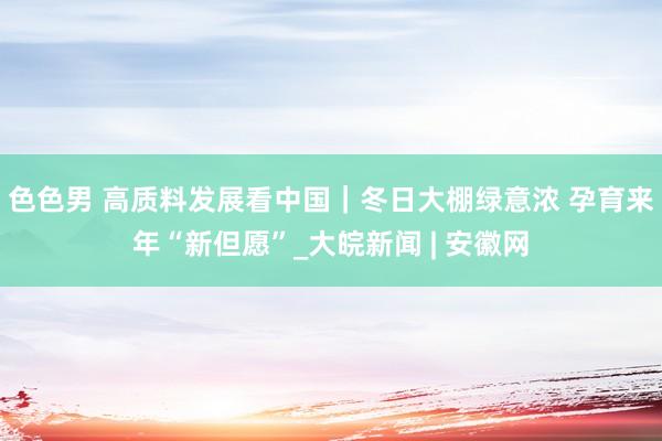 色色男 高质料发展看中国｜冬日大棚绿意浓 孕育来年“新但愿”_大皖新闻 | 安徽网