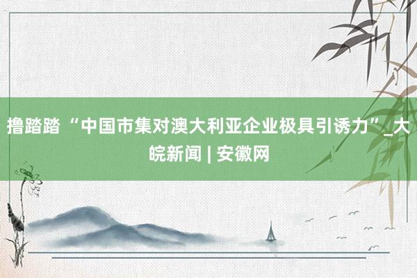 撸踏踏 “中国市集对澳大利亚企业极具引诱力”_大皖新闻 | 安徽网