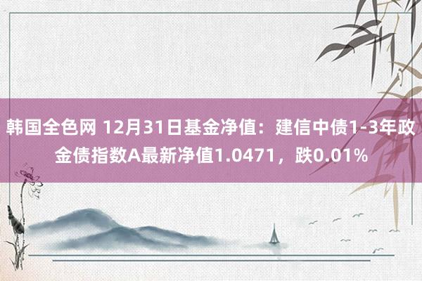 韩国全色网 12月31日基金净值：建信中债1-3年政金债指数A最新净值1.0471，跌0.01%