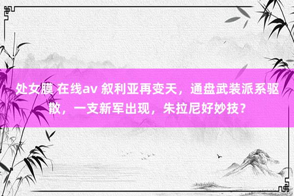 处女膜 在线av 叙利亚再变天，通盘武装派系驱散，一支新军出现，朱拉尼好妙技？