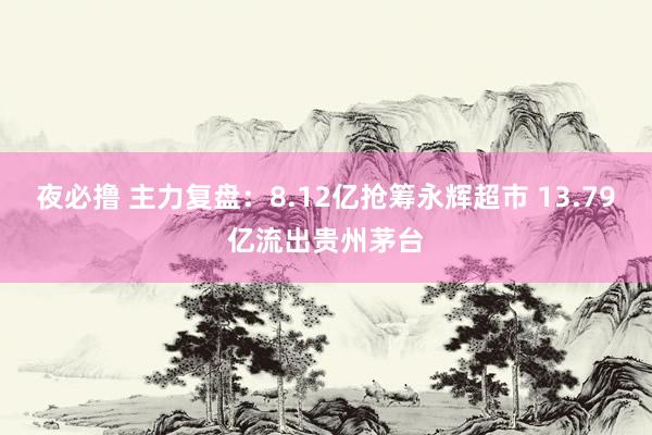夜必撸 主力复盘：8.12亿抢筹永辉超市 13.79亿流出贵州茅台