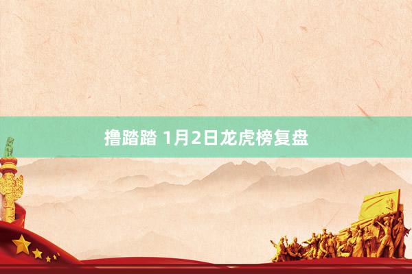 撸踏踏 1月2日龙虎榜复盘