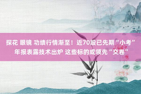 探花 眼镜 功绩行情渐至！近70股已先期“小考” 年报表露技术出炉 这些标的或领先“交卷”