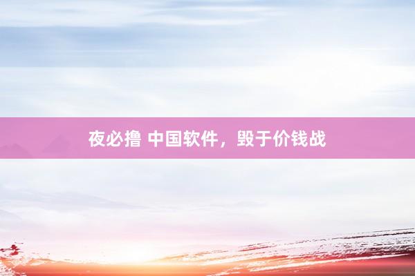 夜必撸 中国软件，毁于价钱战