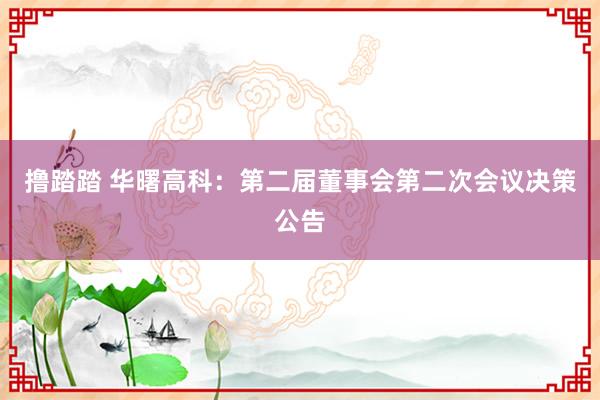 撸踏踏 华曙高科：第二届董事会第二次会议决策公告
