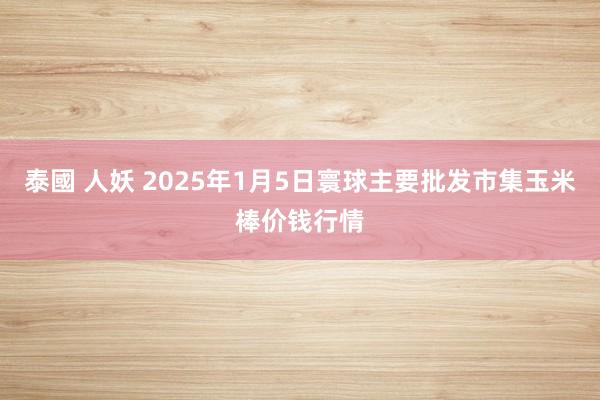 泰國 人妖 2025年1月5日寰球主要批发市集玉米棒价钱行情