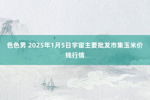 色色男 2025年1月5日宇宙主要批发市集玉米价钱行情