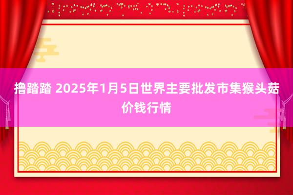 撸踏踏 2025年1月5日世界主要批发市集猴头菇价钱行情