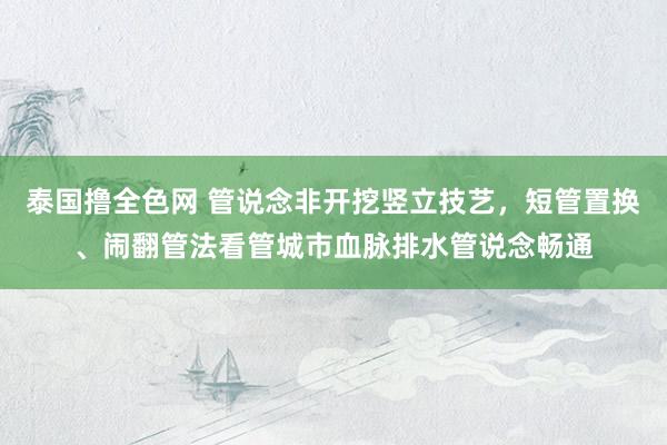 泰国撸全色网 管说念非开挖竖立技艺，短管置换、闹翻管法看管城市血脉排水管说念畅通