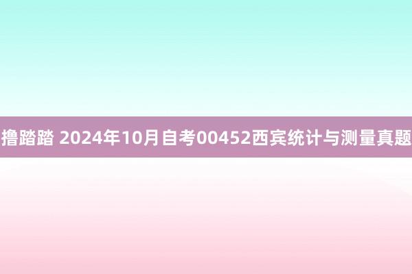 撸踏踏 2024年10月自考00452西宾统计与测量真题