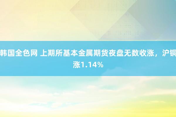 韩国全色网 上期所基本金属期货夜盘无数收涨，沪铜涨1.14%