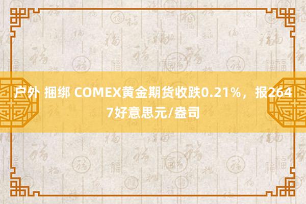 户外 捆绑 COMEX黄金期货收跌0.21%，报2647好意思元/盎司