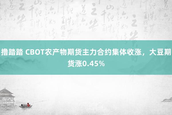 撸踏踏 CBOT农产物期货主力合约集体收涨，大豆期货涨0.45%