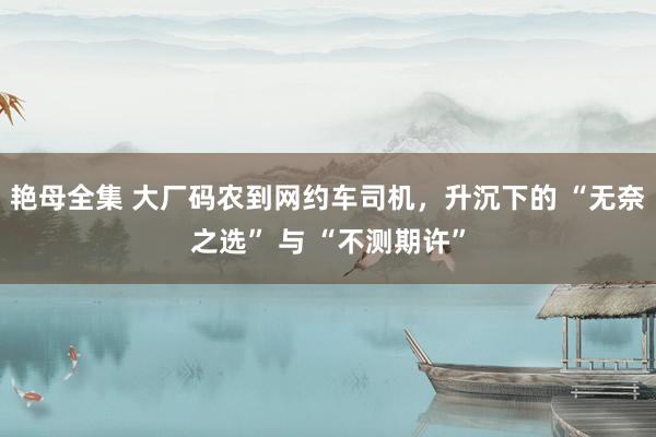 艳母全集 大厂码农到网约车司机，升沉下的 “无奈之选” 与 “不测期许”