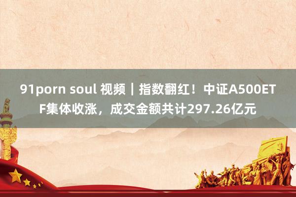 91porn soul 视频｜指数翻红！中证A500ETF集体收涨，成交金额共计297.26亿元