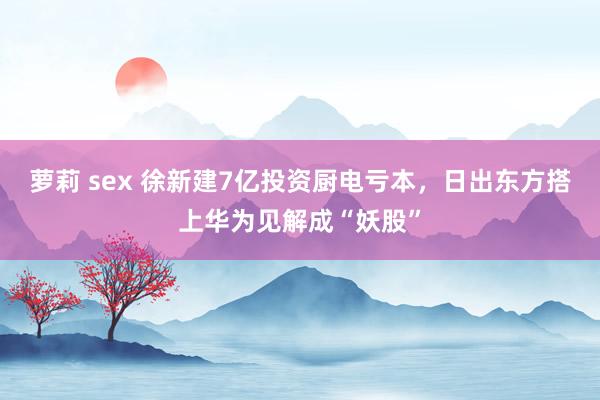 萝莉 sex 徐新建7亿投资厨电亏本，日出东方搭上华为见解成“妖股”
