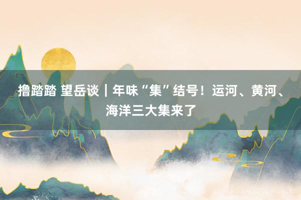 撸踏踏 望岳谈｜年味“集”结号！运河、黄河、海洋三大集来了