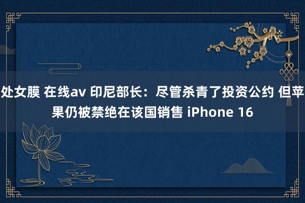 处女膜 在线av 印尼部长：尽管杀青了投资公约 但苹果仍被禁绝在该国销售 iPhone 16