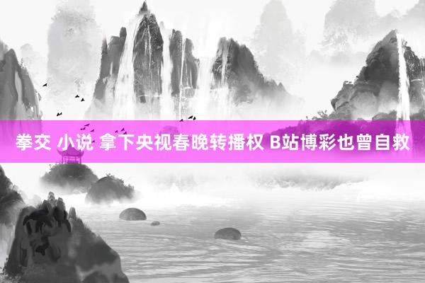 拳交 小说 拿下央视春晚转播权 B站博彩也曾自救