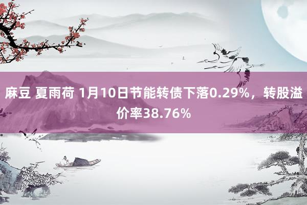 麻豆 夏雨荷 1月10日节能转债下落0.29%，转股溢价率38.76%