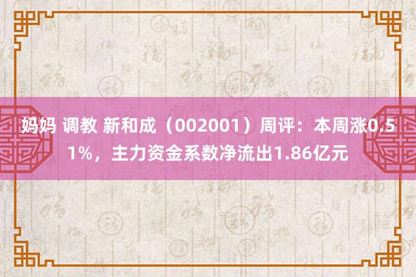 妈妈 调教 新和成（002001）周评：本周涨0.51%，主力资金系数净流出1.86亿元