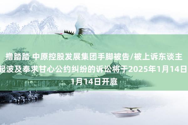 撸踏踏 中原控股发展集团手脚被告/被上诉东谈主的1起波及奉求甘心公约纠纷的诉讼将于2025年1月14日开庭