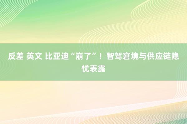 反差 英文 比亚迪“崩了”！智驾窘境与供应链隐忧表露