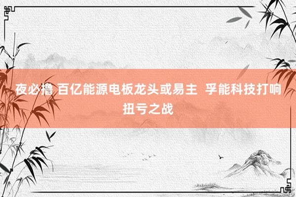 夜必撸 百亿能源电板龙头或易主  孚能科技打响扭亏之战