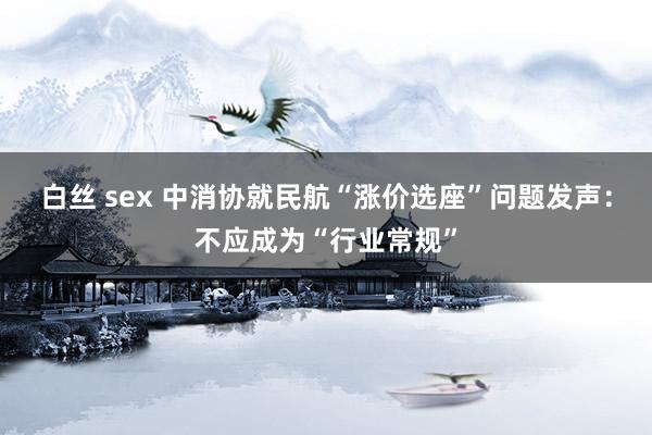 白丝 sex 中消协就民航“涨价选座”问题发声：不应成为“行业常规”