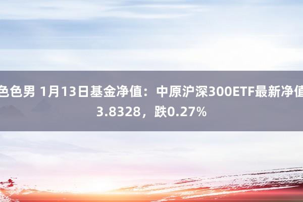 色色男 1月13日基金净值：中原沪深300ETF最新净值3.8328，跌0.27%