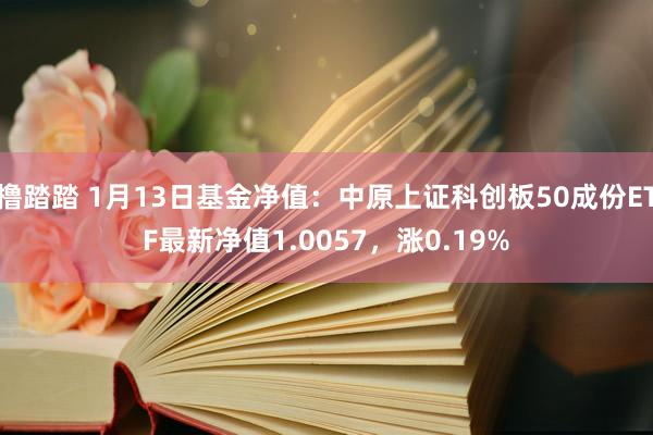 撸踏踏 1月13日基金净值：中原上证科创板50成份ETF最新净值1.0057，涨0.19%