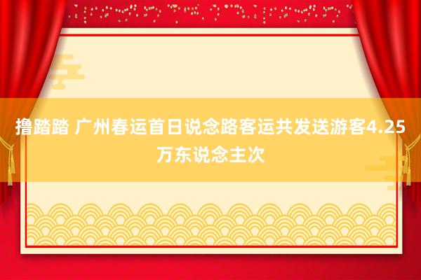 撸踏踏 广州春运首日说念路客运共发送游客4.25万东说念主次