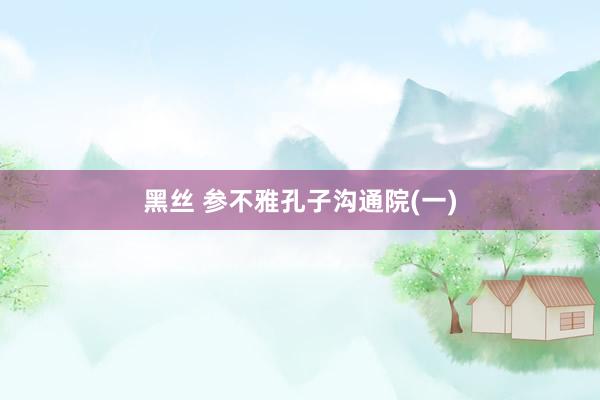 黑丝 参不雅孔子沟通院(一)