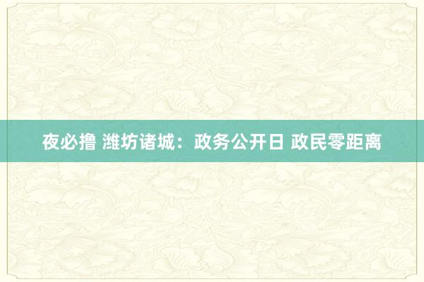 夜必撸 潍坊诸城：政务公开日 政民零距离